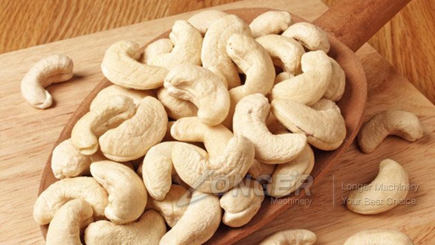 cashew business processing